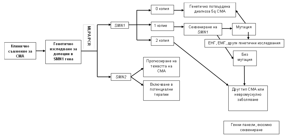 Diagnosing SMA